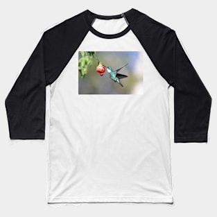 White-throated Hummingbird Baseball T-Shirt